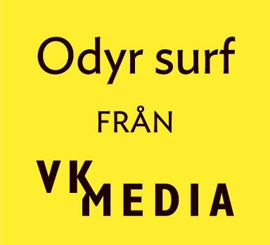 Odyrsurf_logo3